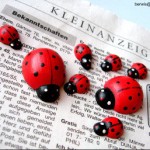 Blind-Date: Bild zum Video des Tages 27.12.09