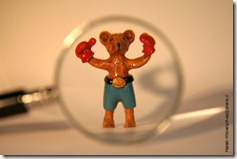 Boxer
