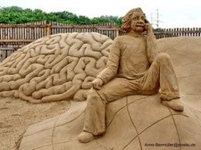 EinsteinGehirn