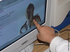 PC Suche