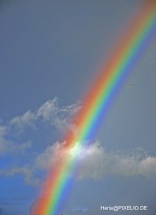 Regenbogen