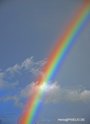 Regenbogen